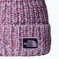 Мъжка зимна шапка The North Face Cozy Chunky Cabin lite lilac/peak purple 2