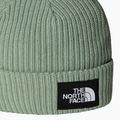 Детска зимна шапка The North Face Salty Lined 2