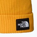 Зимна шапка The North Face Salty Lined 2