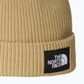 Зимна шапка The North Face Salty Lined 2