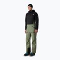 Мъжки скиорски панталони The North Face Summit Tsirku GTX Pro Bib bark mist/black