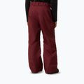Детски скиорски панталони The North Face Freedom Insulated Sumac 3
