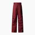 Детски скиорски панталони The North Face Freedom Insulated Sumac 4