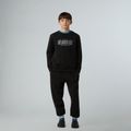 Детски суитшърт The North Face Reflective Logo Relaxed Crew black 2