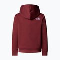 Детски суитшърт The North Face Teen Drew Peak Pullover Hoodie sumac 2