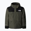 Детско яке за дъжд The North Face Mountain Down new taupe green
