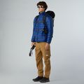 Мъжко пухено яке The Nort Face Terra Peak estate blue 2