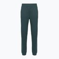 Дамски панталони The North Face Mountain Athletics Fleece deep cypress/space