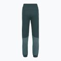 Дамски панталони The North Face Mountain Athletics Fleece deep cypress/space 2