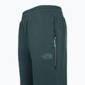 Дамски панталони The North Face Mountain Athletics Fleece deep cypress/space 3