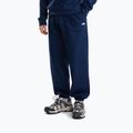 Мъжки суитшърт The North Face Evolution Simple Dome Regular Hoodie summit navy