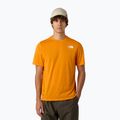 Мъжка тениска The North Face Multiple Placement mushroom ember