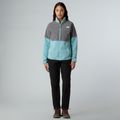 Дамски панталони за трекинг The North Face Quest Softshell black 2