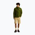 Мъжки панталони за трекинг The North Face Exploration Regular Tapered Convertible khaki stone 2