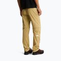 Мъжки панталони за трекинг The North Face Exploration Regular Tapered Convertible khaki stone 3