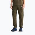 Мъжки панталони за трекинг The North Face Exploration Regular Tapered Convertible taupe green