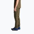 Мъжки панталони за трекинг The North Face Exploration Regular Tapered Convertible taupe green 4