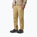 Мъжки панталони за трекинг The North Face Exploration Regular Tapered khaki stone