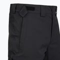 Мъжки скиорски панталони The North Face Chakal Regular black/black 3
