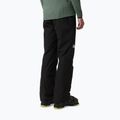 Мъжки скиорски панталони The North Face Descendit black/black 3