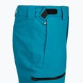 Мъжки скиорски панталони The North Face Chakal Regular dusk blue 3