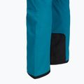 Мъжки скиорски панталони The North Face Chakal Regular dusk blue 5