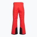 Мъжки скиорски панталони The North Face Chakal Regular elevation red 2