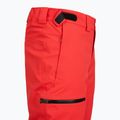 Мъжки скиорски панталони The North Face Chakal Regular elevation red 3