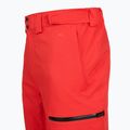 Мъжки скиорски панталони The North Face Chakal Regular elevation red 4