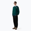 Мъжки суичър The North Face Simple Dome Crew ловно зелен 2