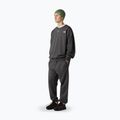 Мъжки панталони The North Face Expedition Celebration Relaxed Jogger Reg, anthracite grey 2