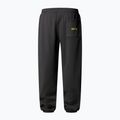 Мъжки панталони The North Face Expedition Celebration Relaxed Jogger Reg, anthracite grey 5