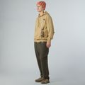 Мъжки суитшърт The North Face Mountain Logo Relaxed Hooded khaki stone 2