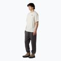 Мъжка тениска The North Face Flower Dome Relaxed Graphic white dune 2