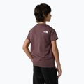 Детска тениска The North Face Simple Dome tawny quartz 5