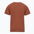 Мъжка термоактивна тениска Smartwool Merino Sport 120 burnt sienna 2