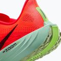 Мъжки обувки за бягане Nike Pegasus Plus bright crimson / cave purple / lime blast 11