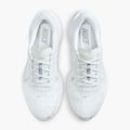 Мъжки обувки за бягане Nike Pegasus Plus white / pure platinum / wolf grey 7