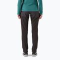 Patagonia дамски панталон Terravia Alpine Pants black w/ink black 3