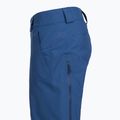 Мъжки скиорски панталони Patagonia Insulated Powder Town clement blue 4