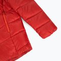 Мъжко пухено яке Patagonia Fitz Roy Down Hoody amanita red 4