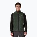 Мъжки елек Patagonia Retro Pile Fleece old growth green