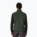 Мъжки елек Patagonia Retro Pile Fleece old growth green 2