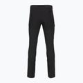 Мъжки трекинг панталони Patagonia Terravia Alpine black 2