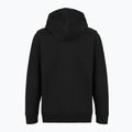 Мъжки суитшърт Patagonia '95 Oval Logo Uprisal Hoody Black: Kaleido 2