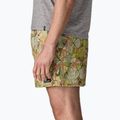 Мъжки шорти Patagonia Baggies 5“ shelly shelly/mellow melon 5