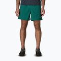 Мъжки шорти Patagonia Baggies 5“ 95 oval logo/gem green