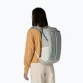 Градска раница Patagonia Black Hole Pack 25 l birch white 5