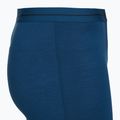 Мъжки боксерки за плуване icebreaker Anatomica atlantis 3