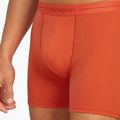 Мъжки термални боксерки Icebreaker Anatomica fervid 5